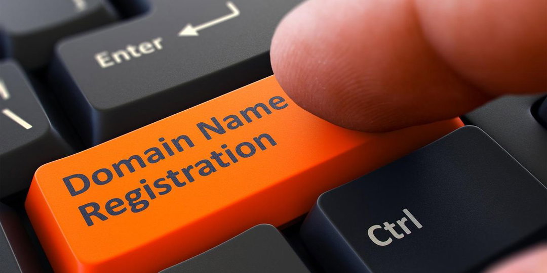 Domain Name Registration 