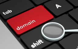Domain Name Registration 