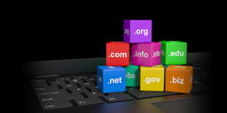 Domain Name Registration 