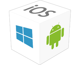 Windows Development