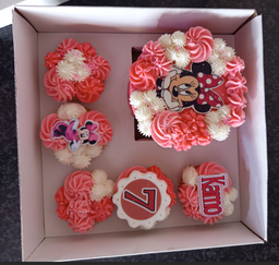Minnie Mouse Bento 5