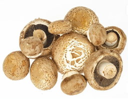 Champignons frais