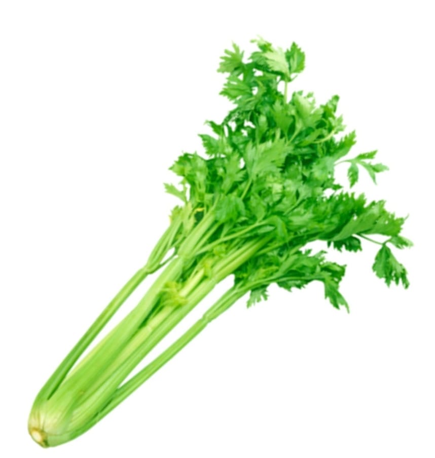 Céleri 