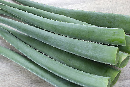 Aloe Vera (Kg)