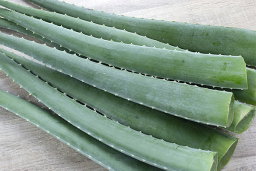 Aloe Vera (Kg)