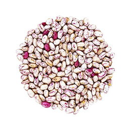 LEGUMES