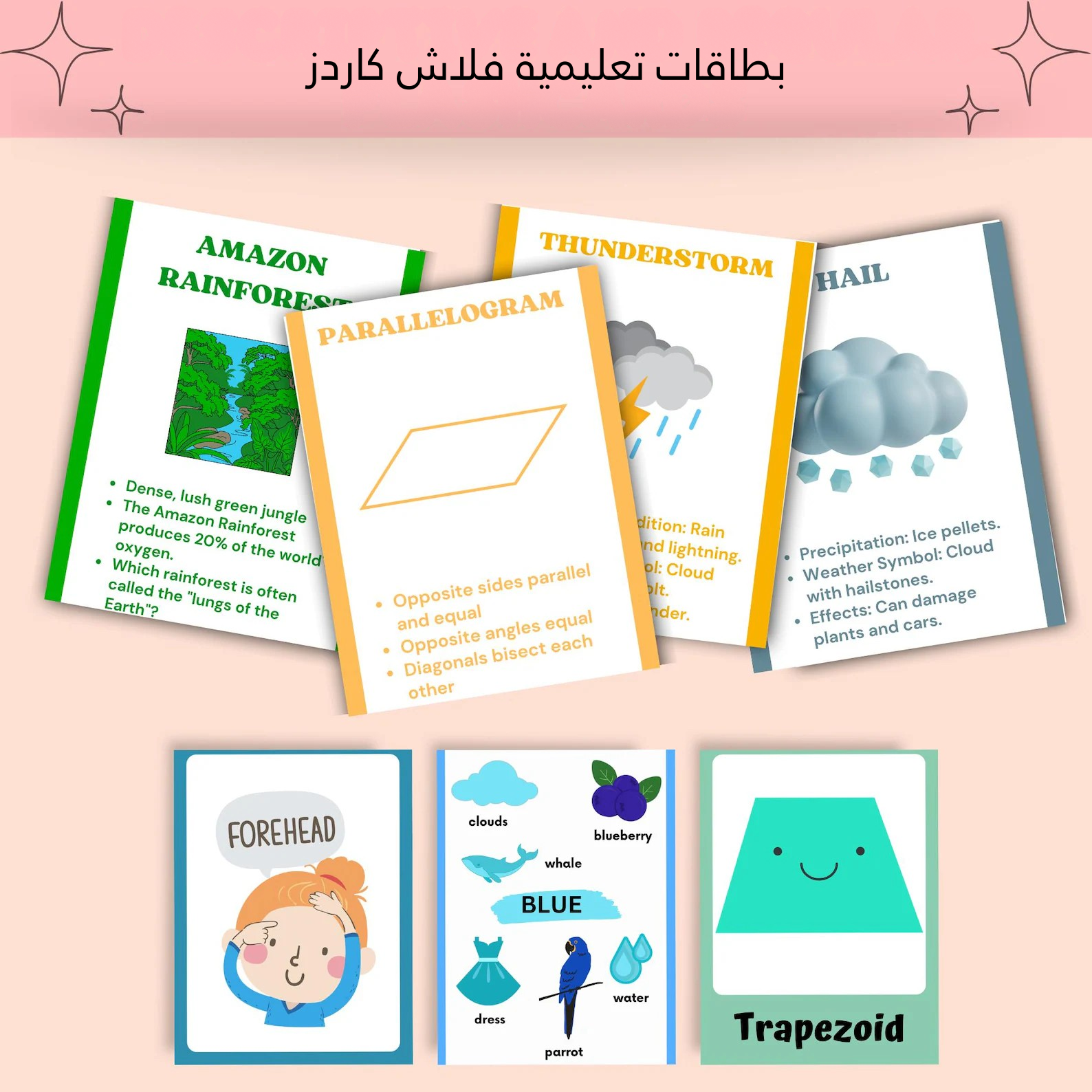 أكبر مكتبة أنشطة تعليمية للأطفال – كل اللي طفلك محتاجه في ملف واحد متعة وتعلم في 60,000 ورقة جاهزة للطباعه🎨📚✨_4