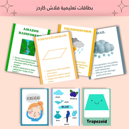أكبر مكتبة أنشطة تعليمية للأطفال – كل اللي طفلك محتاجه في ملف واحد متعة وتعلم في 60,000 ورقة جاهزة للطباعه🎨📚✨