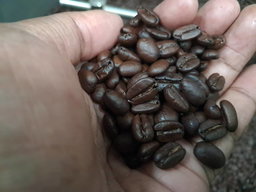 ERAP KOFI, ARABICA, DARK ROAST, WHOLE COFFEE BEAN 250g