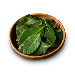 Daun Salam 10gram