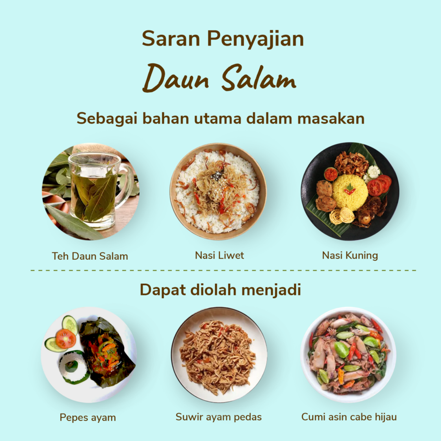 Daun Salam 10gram_1