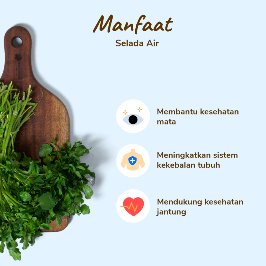 Selada Air 250gram_2
