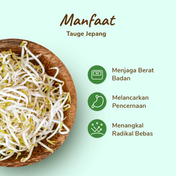 Tauge Jepang 1pack