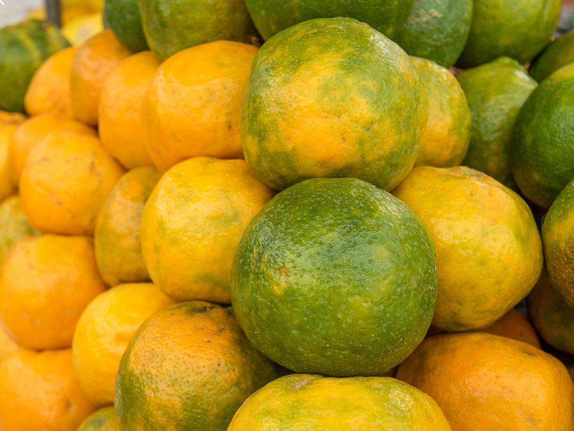 Oranges_1