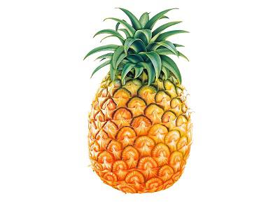 Pineapple_0