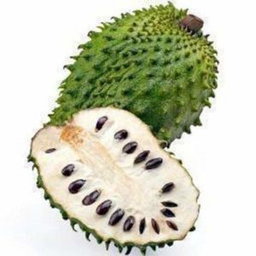 Sour Sop (Ekitafeeri)
