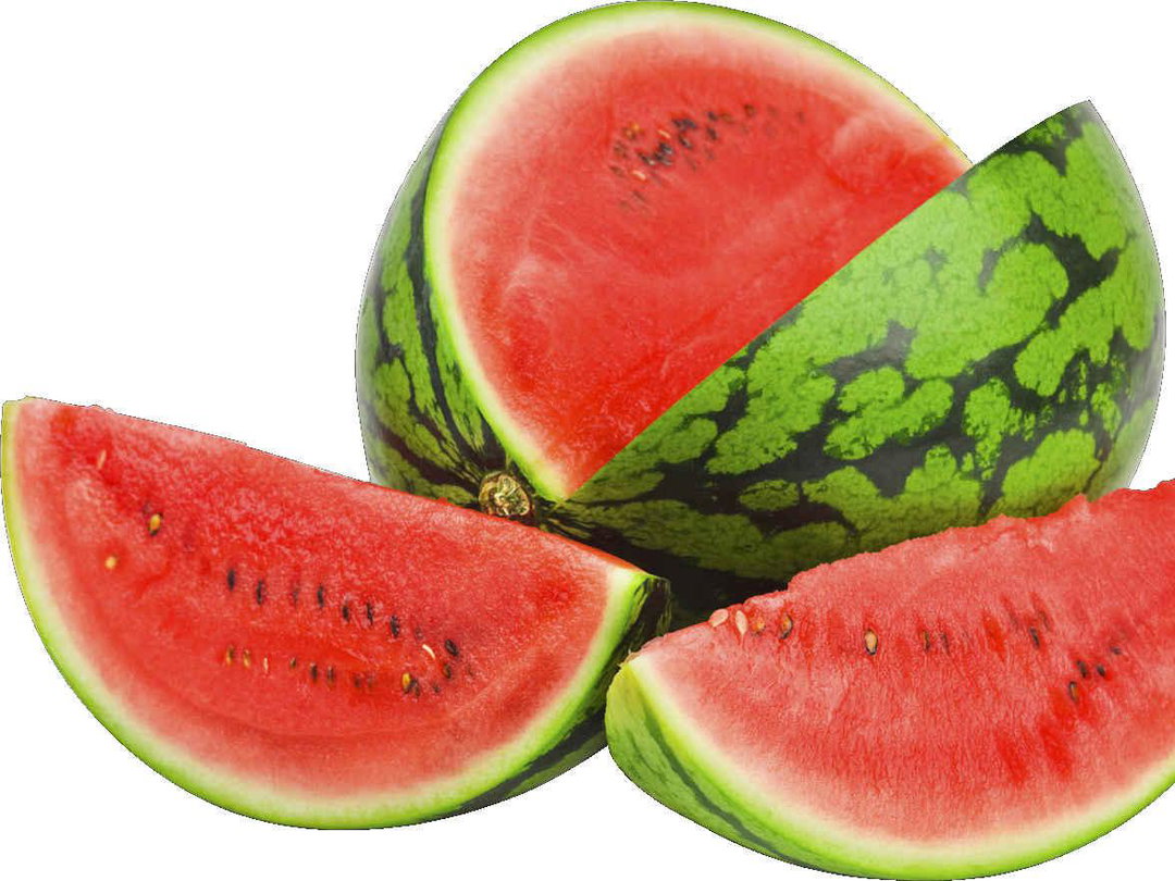 Water Melon (Zebra)