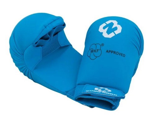 Fist Gear (Budo-Nord WKF)_1