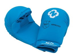 Fist Gear (Budo-Nord WKF)