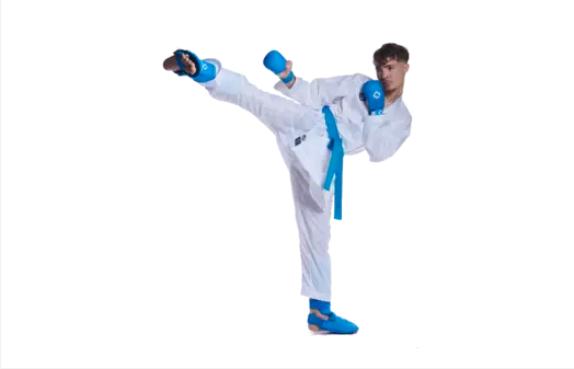 Ichiban Karate Reversible Uniform (Budo-Nord WKF)_3