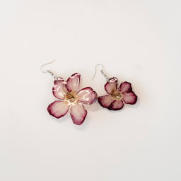 Desert Rose