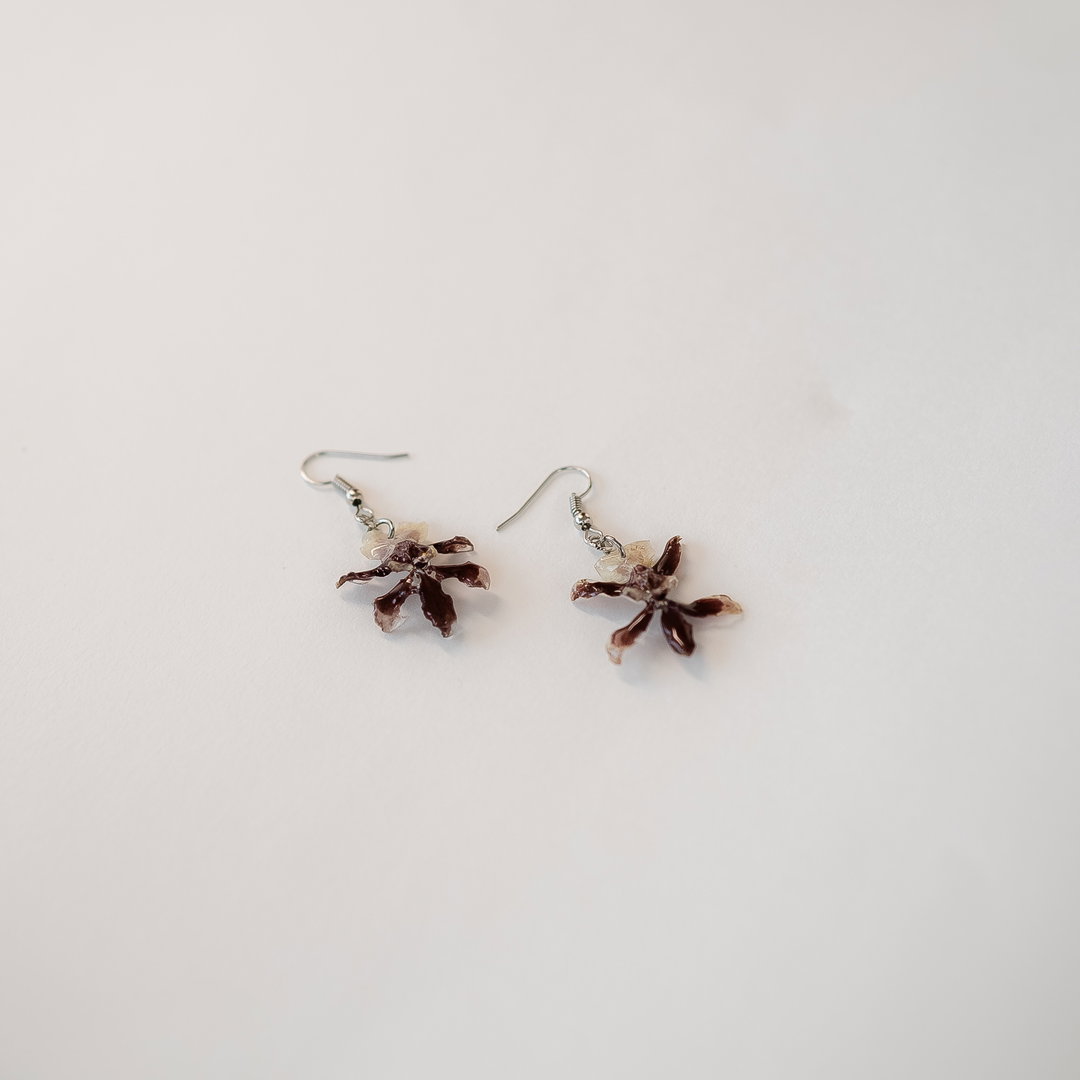 Oncidium Sharry Baby Orchid