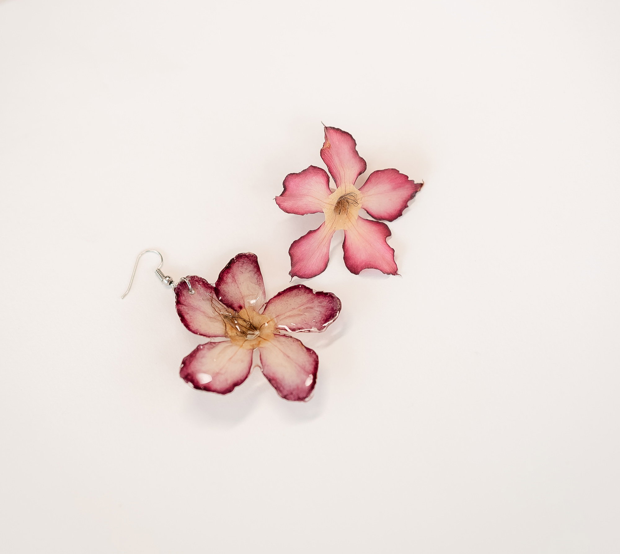 Desert Rose_0