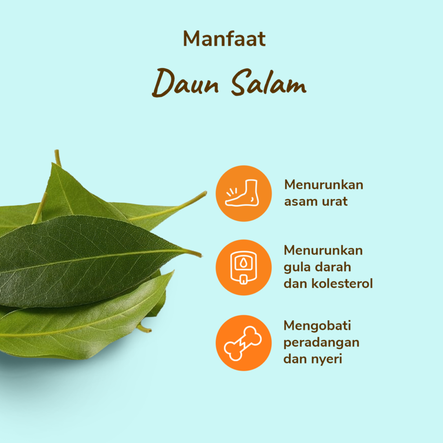 Daun Salam 25gram_2