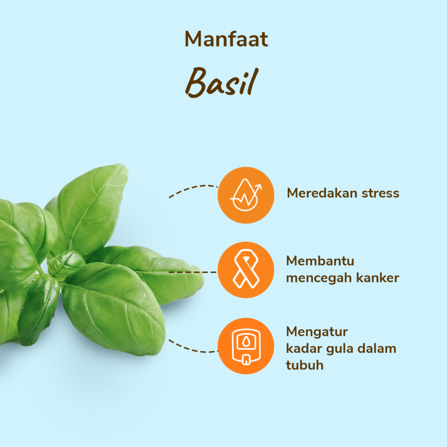 Basil 50gram_2