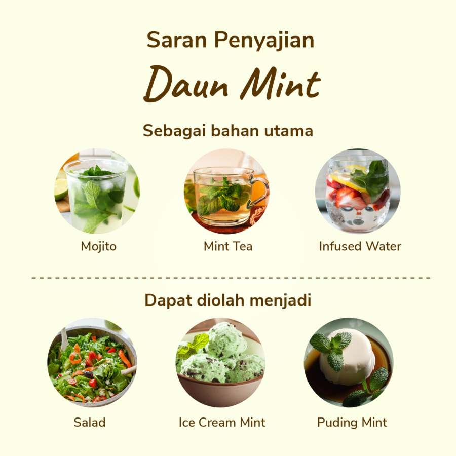Daun Mint 50gram_1