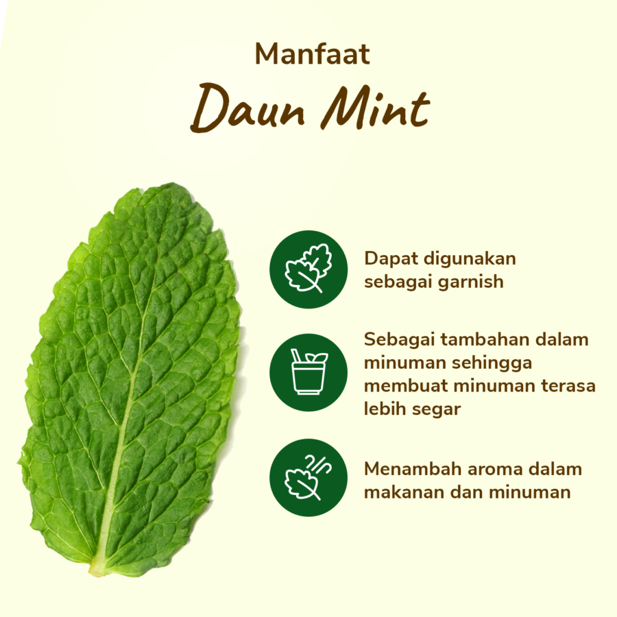 Daun Mint 50gram_2