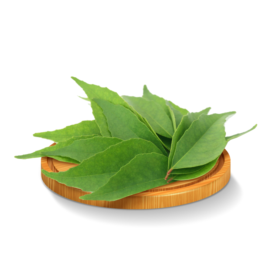 Daun Kari 15gram_0