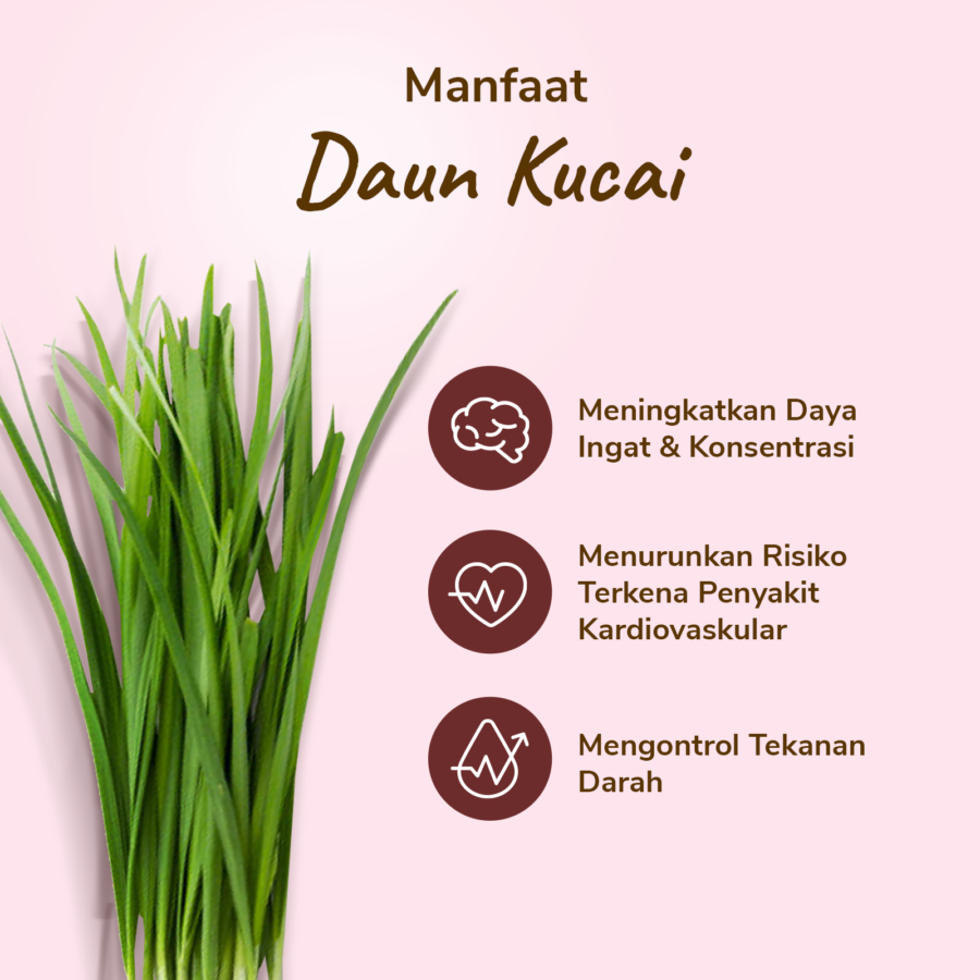 Daun Kucai 100gram_2