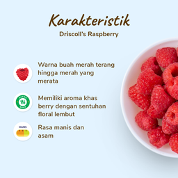 Driscoll's Raspberry 125gram