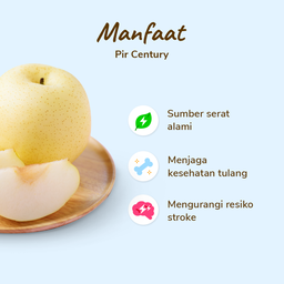 Pear Century pack 2-3 pcs 450-500 gram