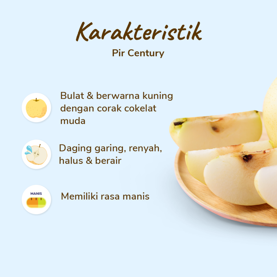 Pear Century pack 2-3 pcs 450-500 gram_1