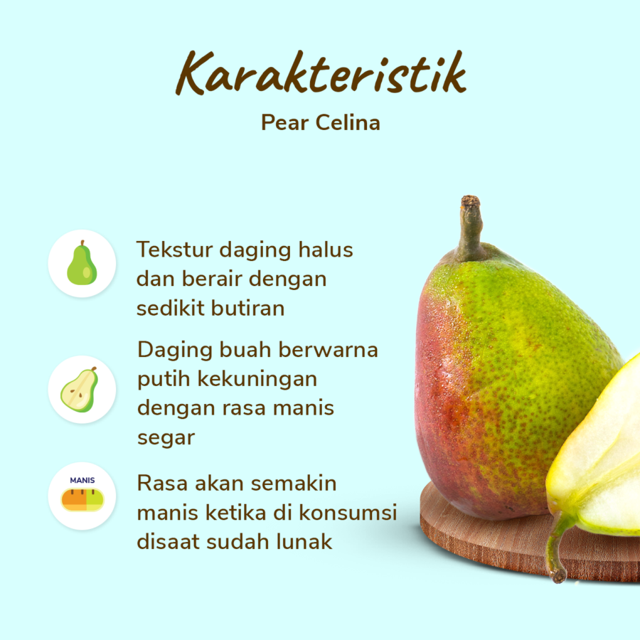 Pear Celina 4-6 pcs 750-800 gram_1