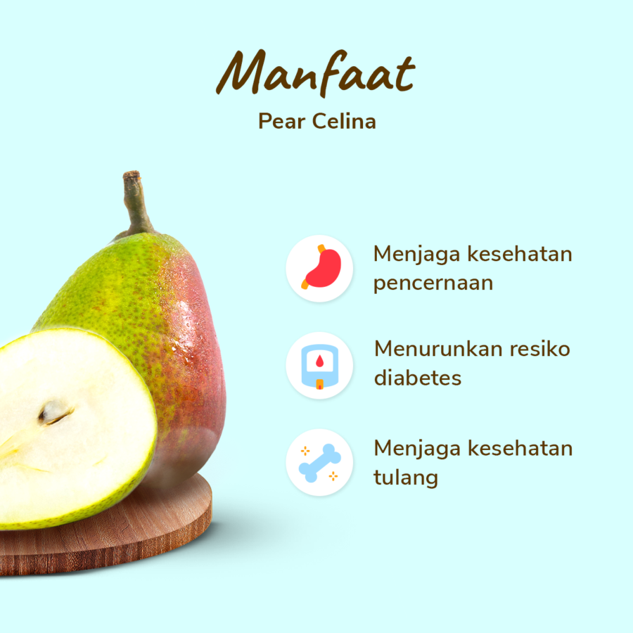 Pear Celina 4-6 pcs 750-800 gram_2