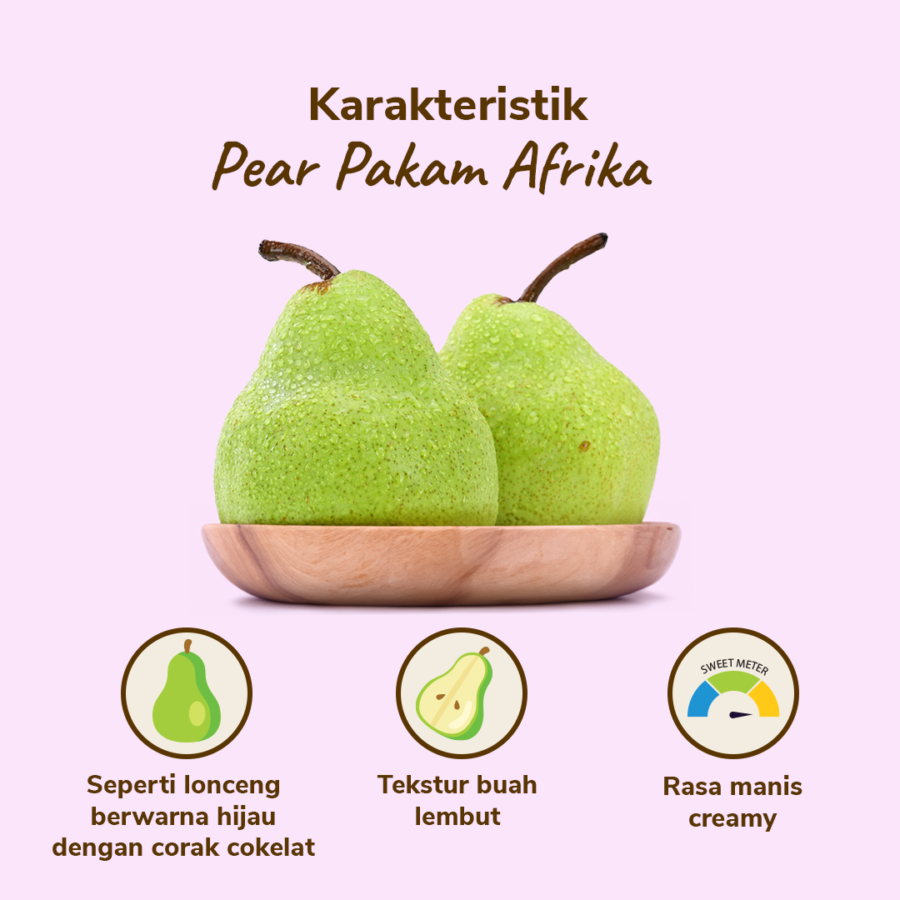 Pear Packham 2-3 pcs 500-650 gram_1