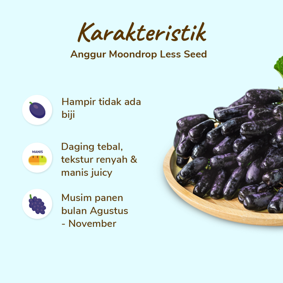 Anggur Moondrops Less Seed 500gram_1