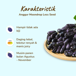 Anggur Moondrops Less Seed 500gram