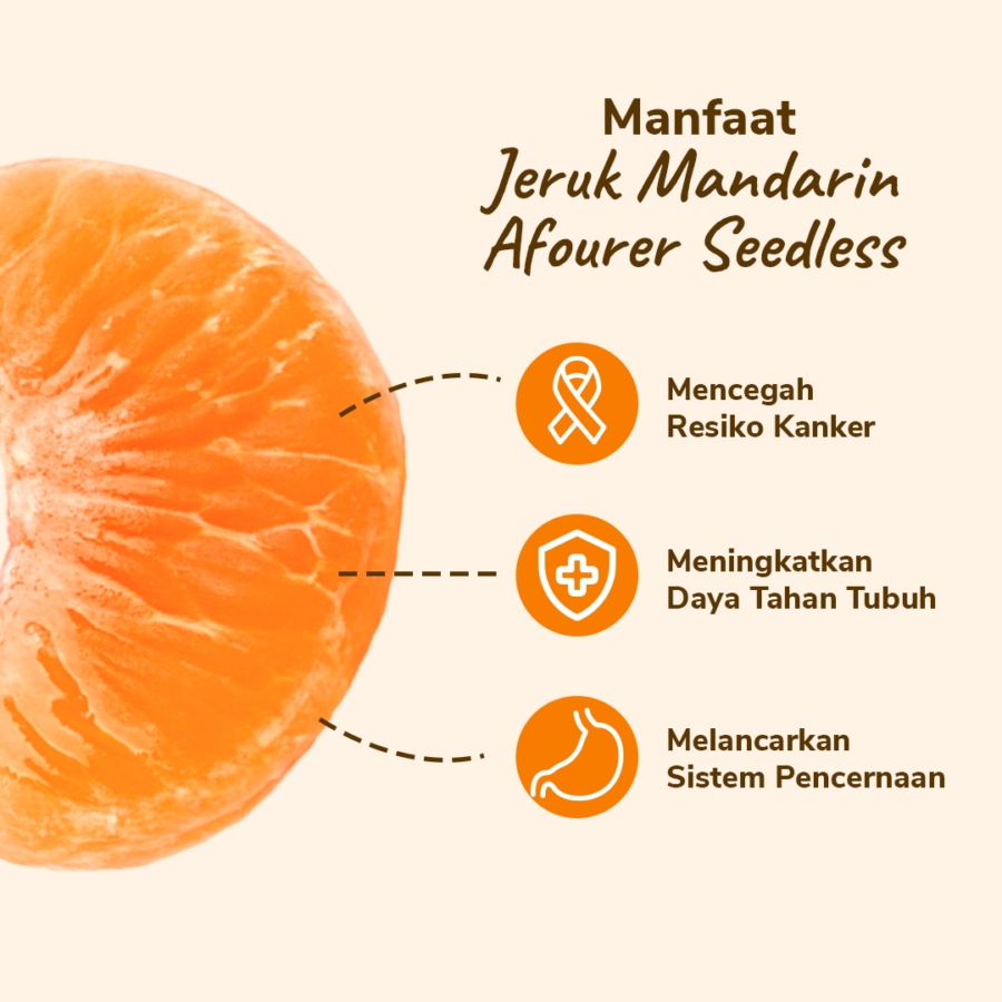 Jeruk Mandarin Afourer Seedless 4-10 pcs 500-550 gram_2