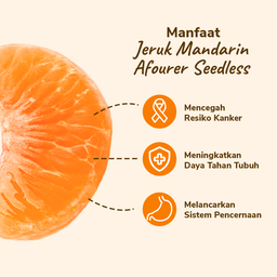 Jeruk Mandarin Afourer Seedless 4-10 pcs 500-550 gram