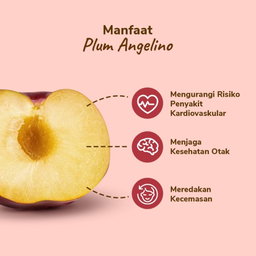 Plum Angelino 430gr - 480gr, 4-7pcs/pack