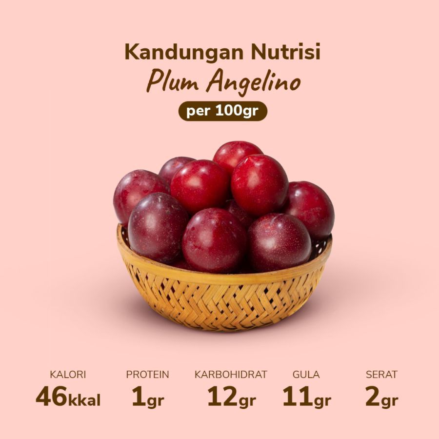 Plum Angelino 430gr - 480gr, 4-7pcs/pack_3