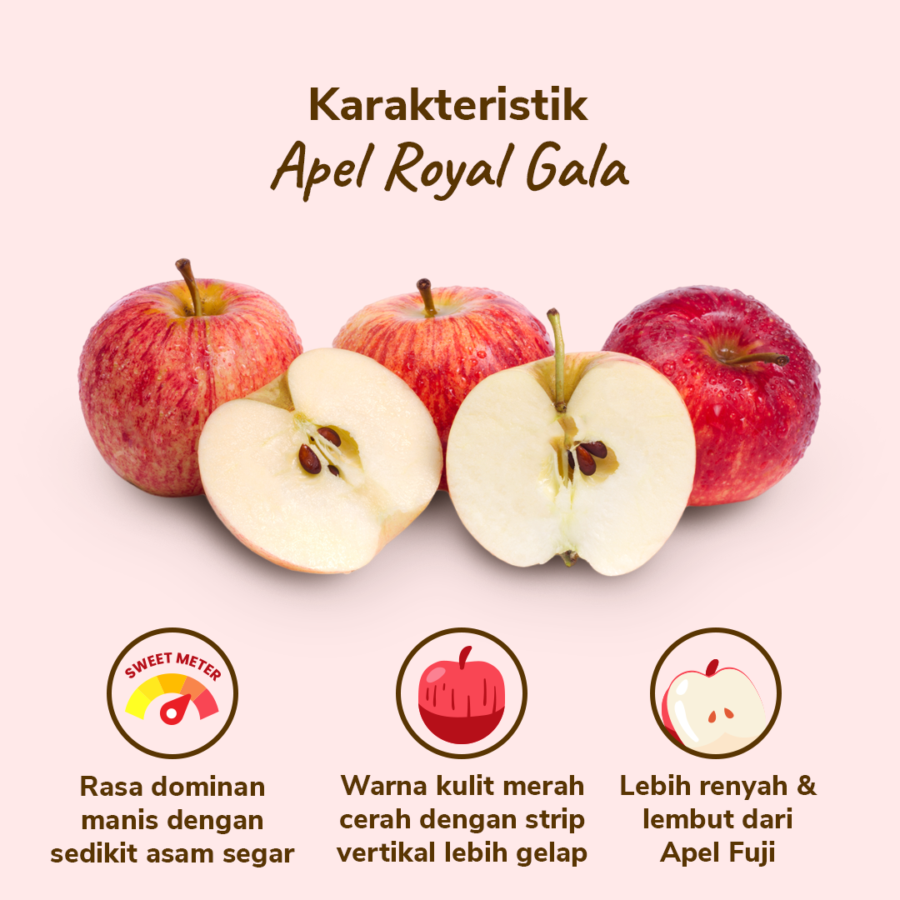 Apel Royal Gala 3-4 pcs 450-550 gram_1