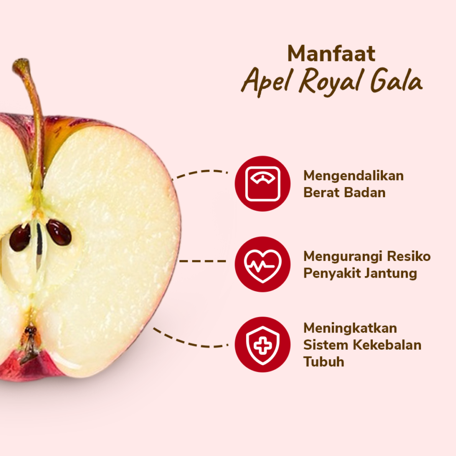Apel Royal Gala 3-4 pcs 450-550 gram_2