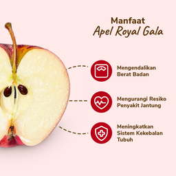 Apel Royal Gala 3-4 pcs 450-550 gram