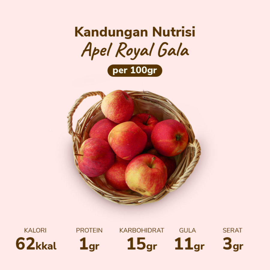 Apel Royal Gala 3-4 pcs 450-550 gram_3