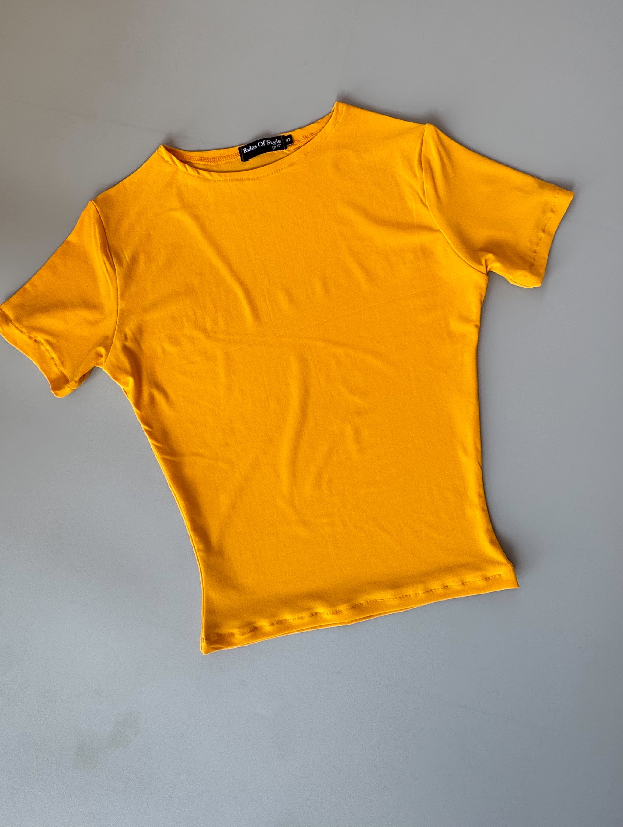 Hailey Fitted T-shirt _14